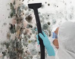 Best Mold Removal for HVAC Installations  in Spartanburg, SC